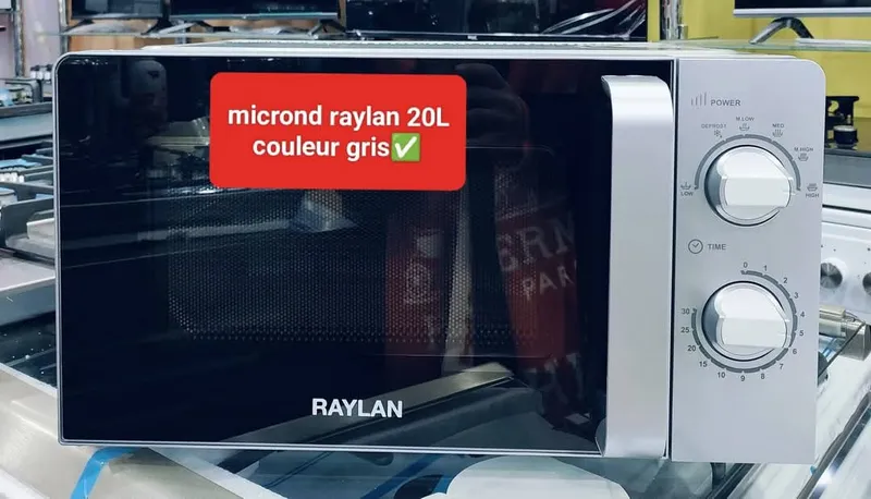 microonde RAYLAN 20L 